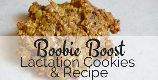 Delicious lactation cookie recipe to give you that boobie boost you need as a breastfeeding mama.